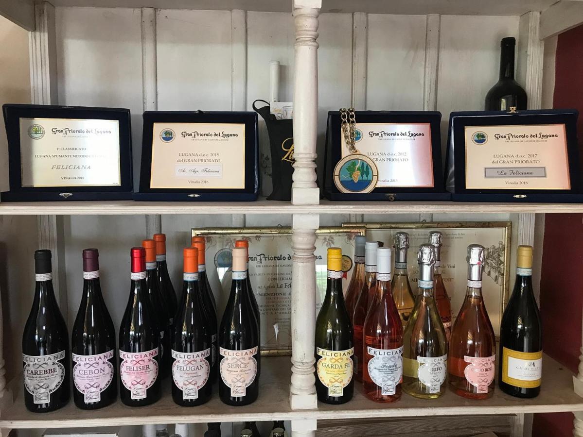 菲利加纳农庄酒店 波佐兰格 外观 照片